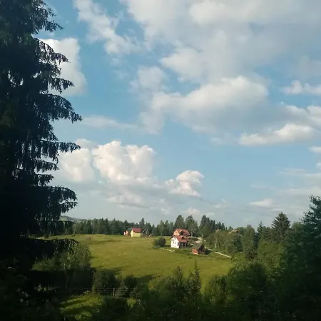 Vasojevic Гостевой дом *
