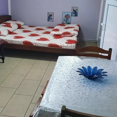 Гостевой дом Vasojevic *